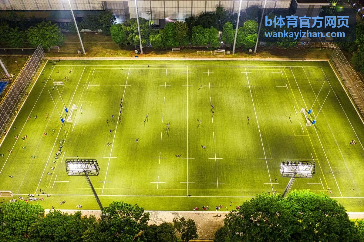 b体育官方网页-世界杯赛程与小组积分榜全解析：实时掌握各队出线形势